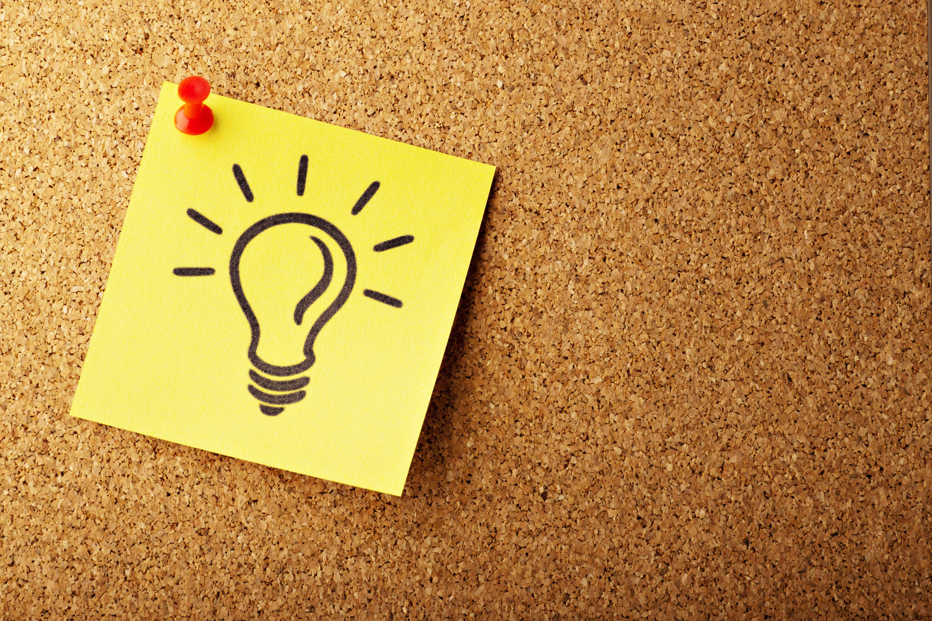 Knowledge & Thought Leadership